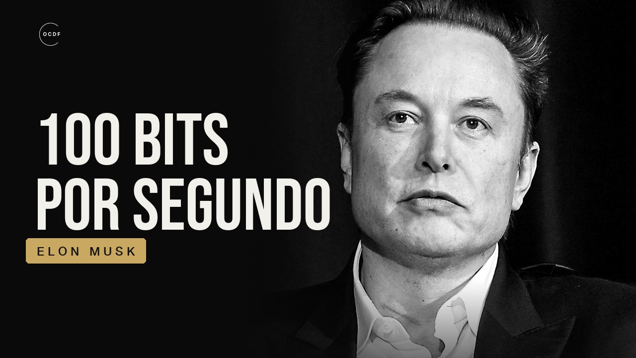 Elon Musk: para uma IA, falar com um humano é como falar com uma árvore